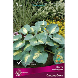 ������ ������ ����� ��������� ����������   ����