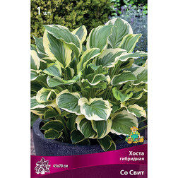 ������ ������ ����� ��������� �� ����   ����