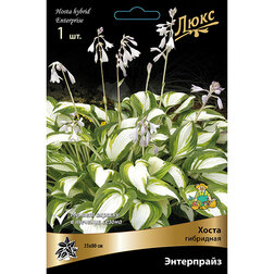 ������ ������ ����� ��������� ����������   ����