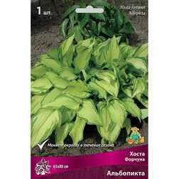 ������ ������ ����� ������� ����������   ����