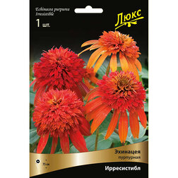 ������ ������ �������� ��������� �����������   ����