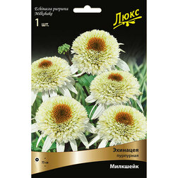 ������ ������ �������� ��������� ��������   ����