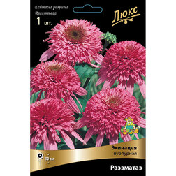 ������ ������ �������� ��������� ����������   ����