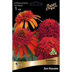 ������ ������ �������� ��������� ��� ������   ����