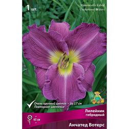 ������ ������ �������� ��������� ������� ������   ����