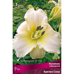 ������ ������ �������� ��������� (������ ����)   ����