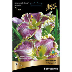 ������ ������ �������� ��������� ����������   ����