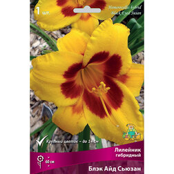 ������ ������ �������� ��������� ���� ��� ������   ����