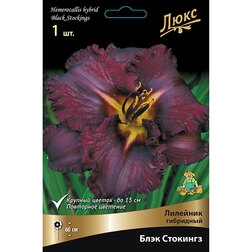 ������ ������ �������� ��������� ���� ��������   ����