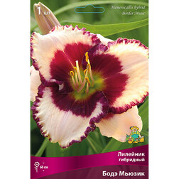 ������ ������ �������� ��������� ���� ������   ����