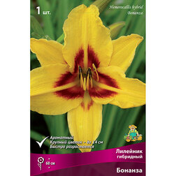 ������ ������ �������� ��������� �������   ����