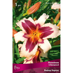 ������ ������ �������� ��������� ����� ������   ����