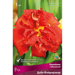 ������ ������ �������� ��������� ���� ����������   ����