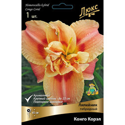 ������ ������ �������� ��������� ����� �����   ����