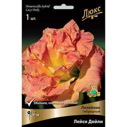 ������ ������ �������� ��������� ����� �����   ����