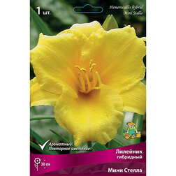 ������ ������ �������� ��������� ���� ������   ����