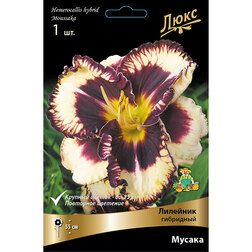 ������ ������ �������� ��������� ������   ����