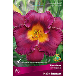 ������ ������ �������� ��������� ���� �������   ����