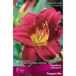 ������ ������ �������� ��������� ������ ��   ����