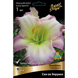 ������ ������ �������� ��������� ��� �� �������   ����