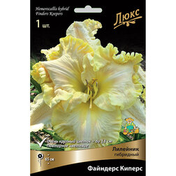 ������ ������ �������� ��������� �������� ������   ����