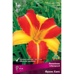 ������ ������ �������� ��������� ����� ����   ����