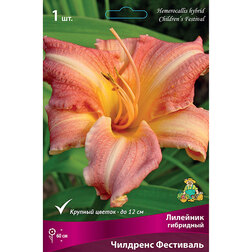 ������ ������ �������� ��������� (�������� ���������)   ����