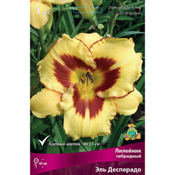 ������ ������ �������� ��������� ��� ���������   ����