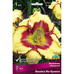 ������ ������ �������� ��������� ������ �� ������   ����