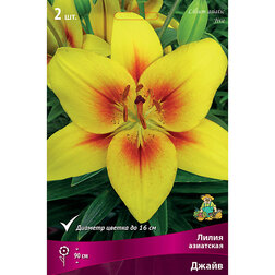 ������ ������ ����� ��������� ����� (2 ��.)   ����