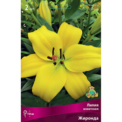 ������ ������ ����� ��������� ������� (2 ��.)   ����