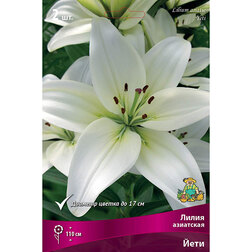 ������ ������ ����� ��������� ���� (2 ��.)   ����