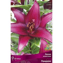 ������ ������ ����� ��������� ������� (2 ��.)   ����