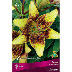 ������ ������ ����� ��������� ������ (2 ��.)   ����