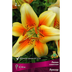 ������ ������ ����� ��������� ������ (2 ��.)   ����