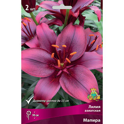 ������ ������ ����� ��������� ������ (2 ��.)   ����