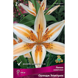 ������ ������ ����� ��������� ������ �������� (2 ��.)   ����