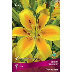 ������ ������ ����� ��������� �������� (2 ��.)   ����