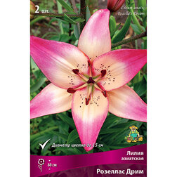 ������ ������ ����� ��������� ������ ���� (2 ��.)   ����