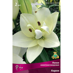 ������ ������ ����� ��������� �������� ����� (2 ��.)   ����