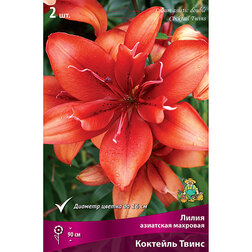 ������ ������ ����� ��������� �������� �������� ����� (2 ��.)   ����