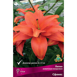 ������ ������ ����� ��������� �������� ������ (2 ��.)   ����