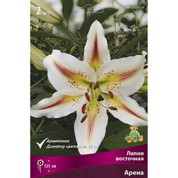 ������ ������ ����� ��������� ����� (2 ��.)   ����