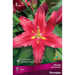 ������ ������ ����� ��������� ������� (2 ��.)   ����