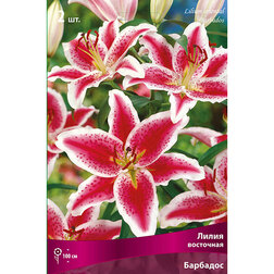 ������ ������ ����� ��������� �������� (2 ��.)   ����