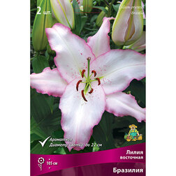 ������ ������ ����� ��������� �������� (2 ��.)   ����