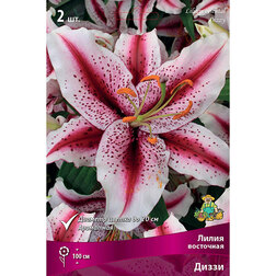 ������ ������ ����� ��������� ����� (2 ��.)   ����