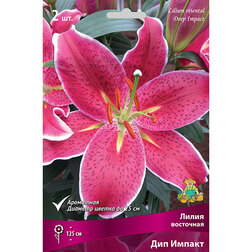 ������ ������ ����� ��������� ��� ������ (2 ��.)   ����