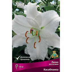 ������ ������ ����� ��������� ���������� (2 ��.)   ����