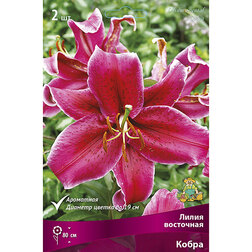 ������ ������ ����� ��������� ����� (2 ��.)   ����